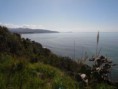 /album/costa/golfo-di-pioppi-jpg/